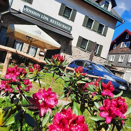 Pension Lipa Horni Marsov Exterior photo