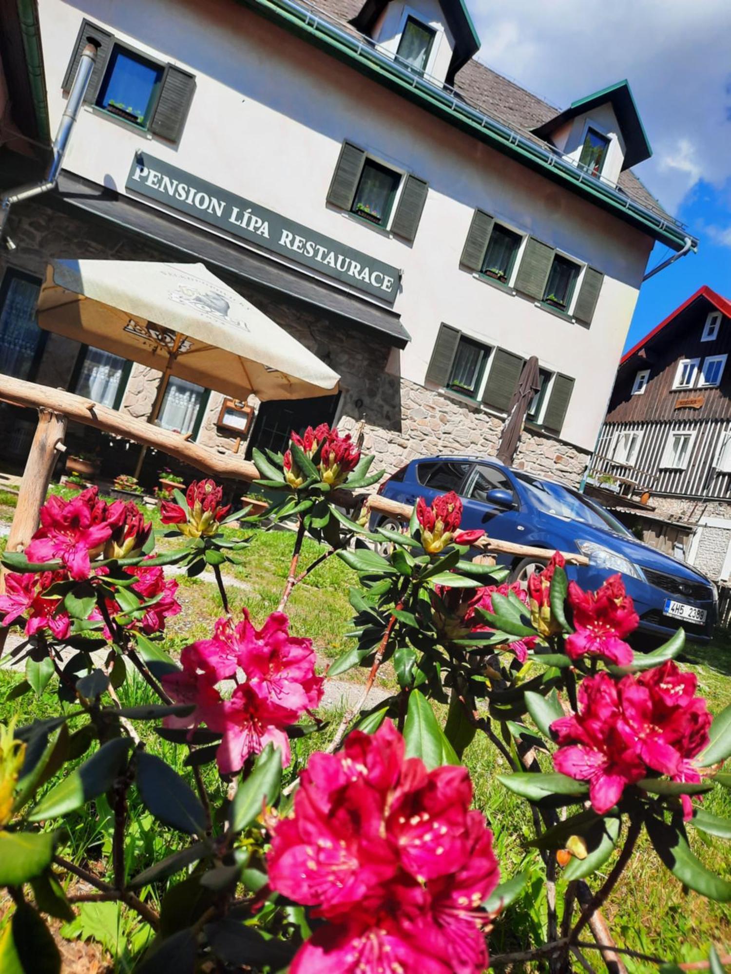 Pension Lipa Horni Marsov Exterior photo
