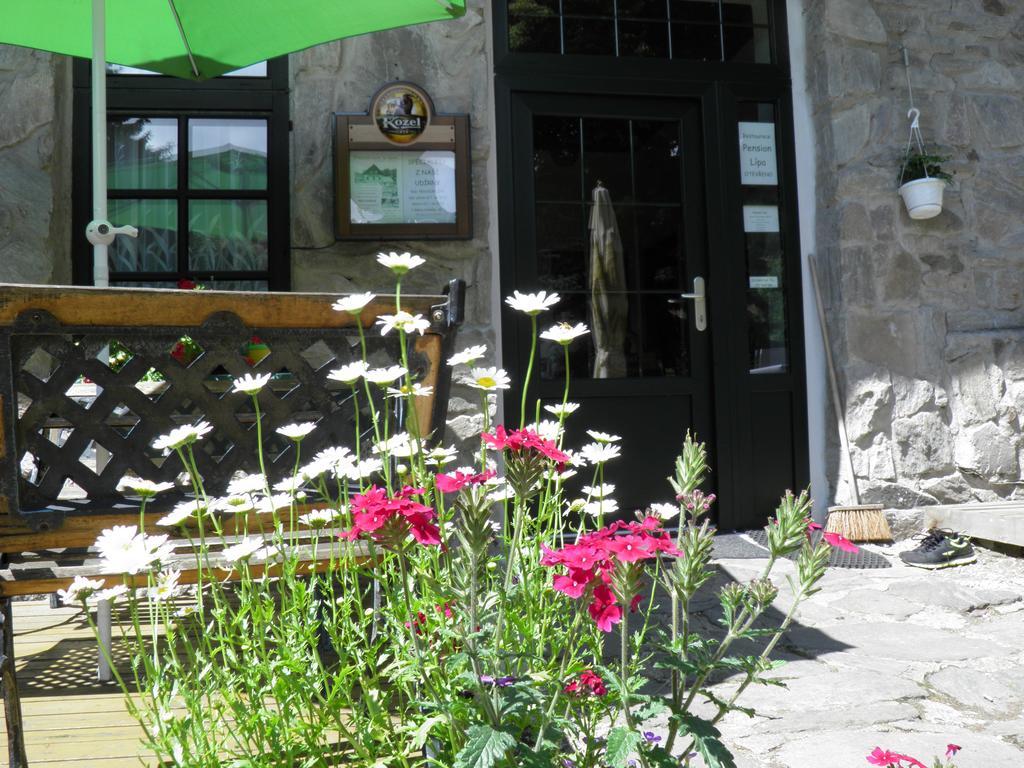 Pension Lipa Horni Marsov Exterior photo
