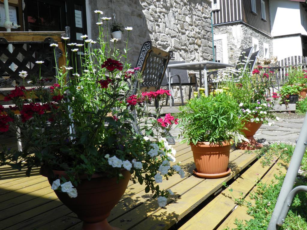 Pension Lipa Horni Marsov Exterior photo